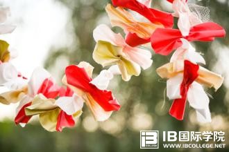 IB成绩除了申请国际名校,还有什么其他用途？