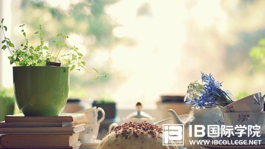 IB课程常考词汇练习（9月28号）