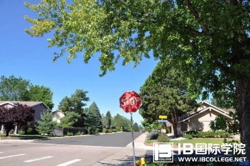 IB经济课程例题及解析