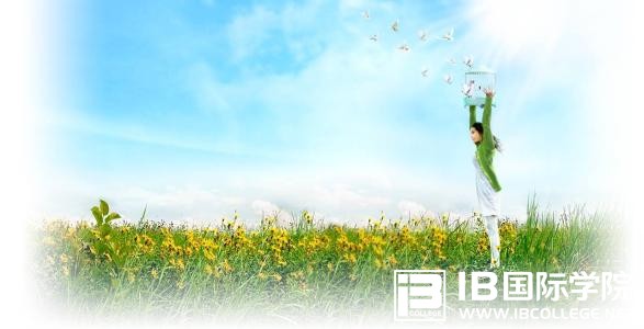 IB课程：如何掌握学习方法,避免进入误区（上）