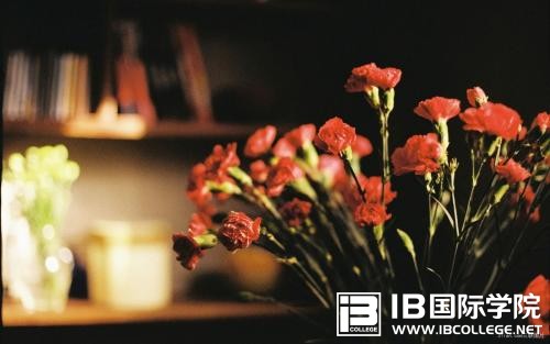 IB数学中关系代数的9种操作