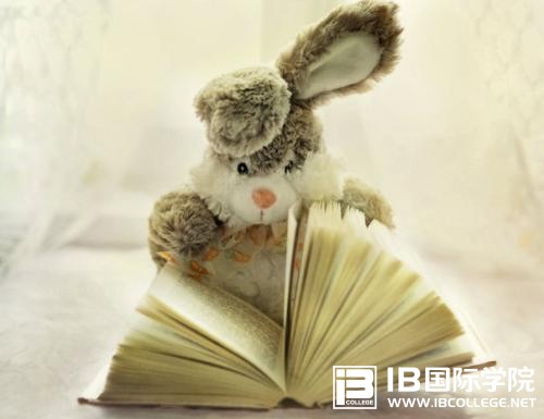 IB课程真的比AP课程难度大很多？