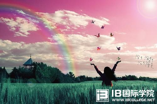 如果孩子读IB课程,几年级开始读比较好呢？