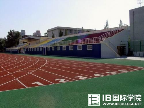 IB课程学习的语言障碍你是否也有？