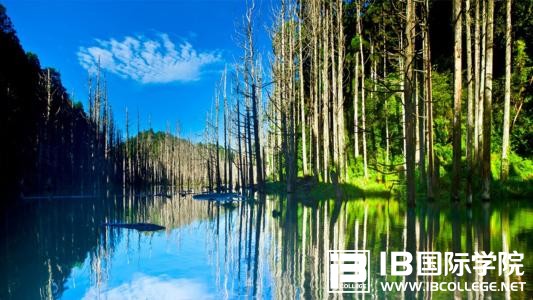 IB课程：选择国际学校,哪个国家的教育模式更适合（上）