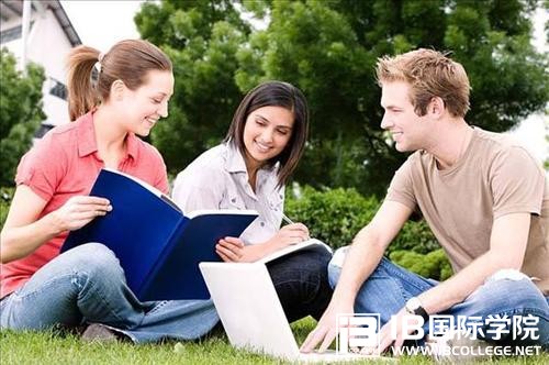 IB课程难点：要求言语分析才干