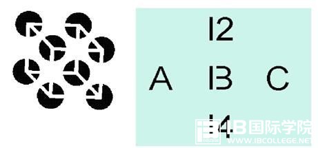 利用自己的数学基础,完善IB数学考试（上）