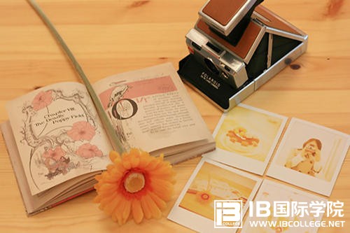 IB课程：你的思维方式和能力问题是否达标？