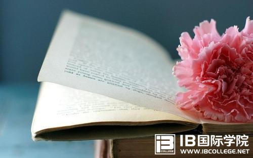 只是“副课”的IB艺术课程,你是否了解？