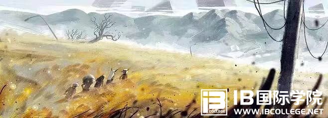 你了解加拿大IB课程是学习什么内容？