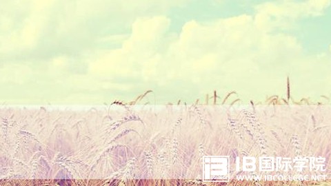 IB考试成绩是不是能够代替美国高考呢？