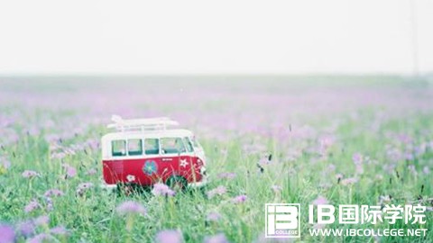 IB考试高频词汇整理（上）