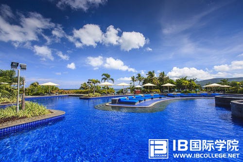 IB课程中的数列详解如何正确分类？