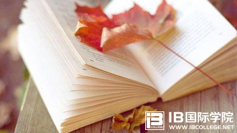 IB课程中的第二语言重要性你是否了解？