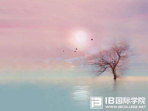 IB考试必备词汇短语（每日一练）