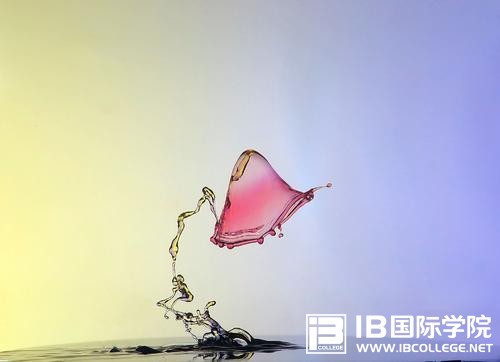 IB考试必备词汇短语（每日一练）