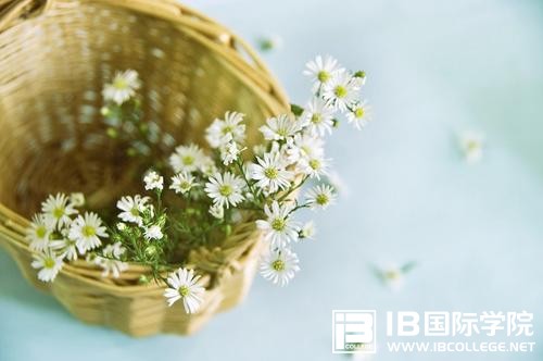 IB考试必备词汇短语合集（每日一练）