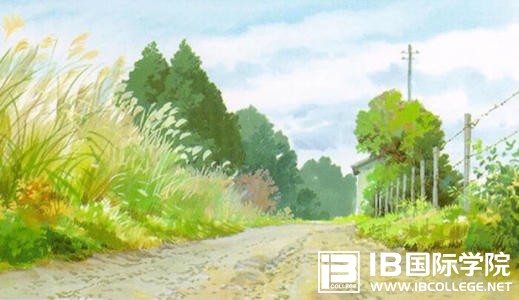 IB课程在高中不同的年假学习方法是否相同？