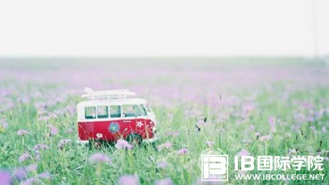 如何正确积累IB词汇？才能永久不忘