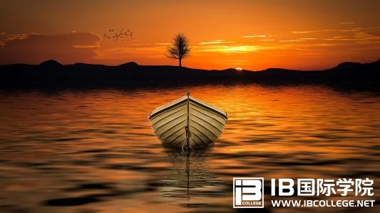 IB课程中的艺术科目有哪些内容？