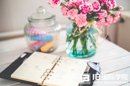 高分第一步，IB物理学科词汇全掌握（二）