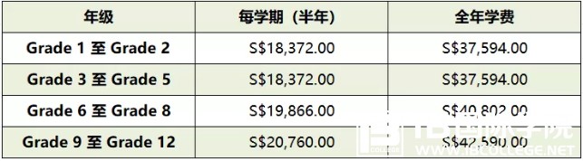 为学生提供的两个IB文凭——新加坡斯坦福美国国际学校