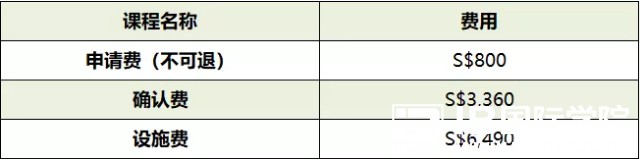 为学生提供的两个IB文凭——新加坡斯坦福美国国际学校