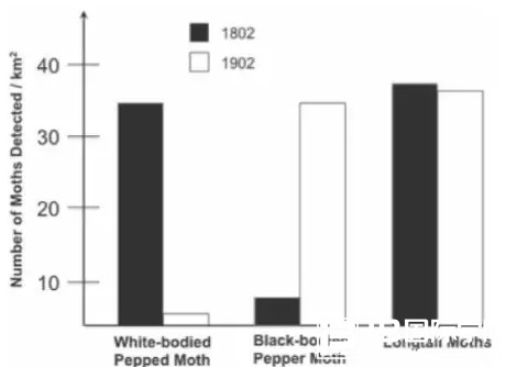 2020年IB生物备考攻略，试题练习（二）