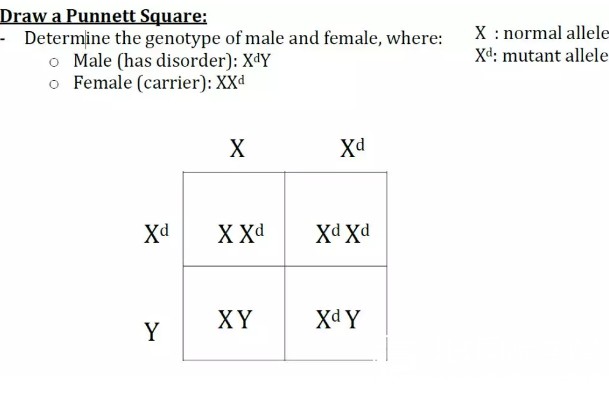 IB生物课程真题练习讲解（一）