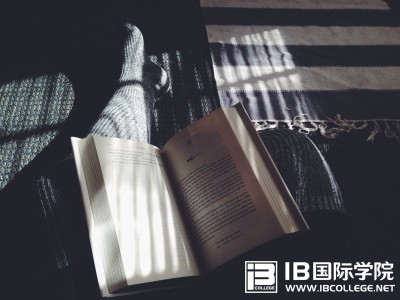 高分经验：如何学好IB数学？