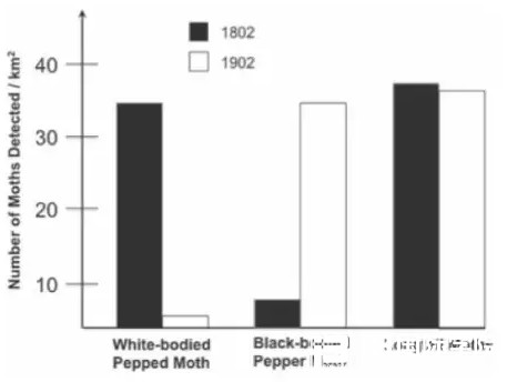 IB生物课程真题练习讲解（三）