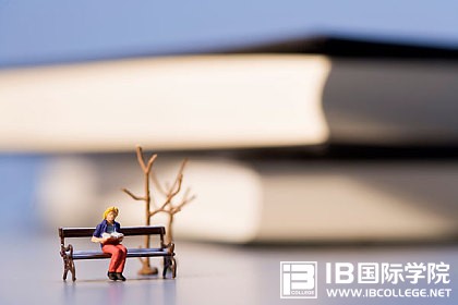 每日练习：IB词汇精讲之vocation