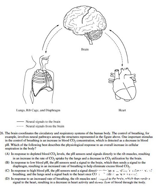 IB生物课程真题练习讲解（四）