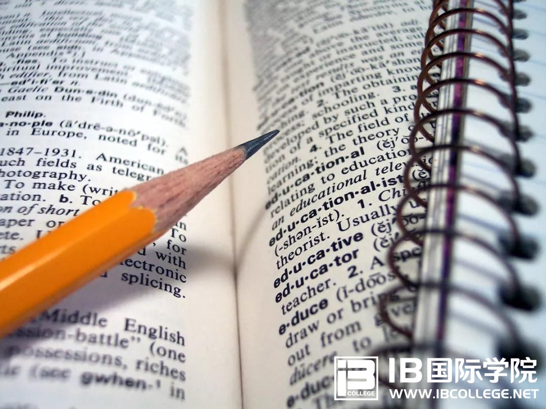 IB词汇精讲：subside含义汇总