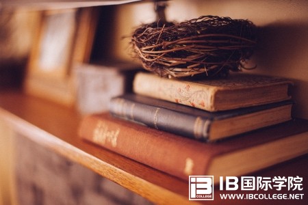 IB词汇太难，你是否用错了背诵攻略？