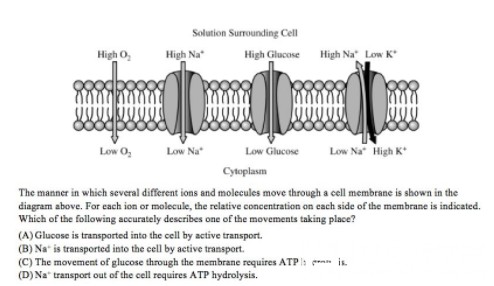 IB生物课程真题练习讲解（二）