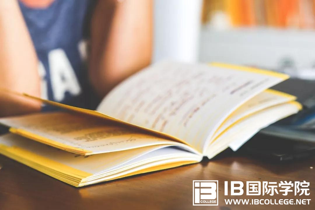 IB语法常考知识点讲解：定语从句引导词