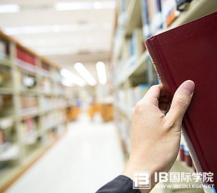 IBDP课程中容易忘记的替换词整理