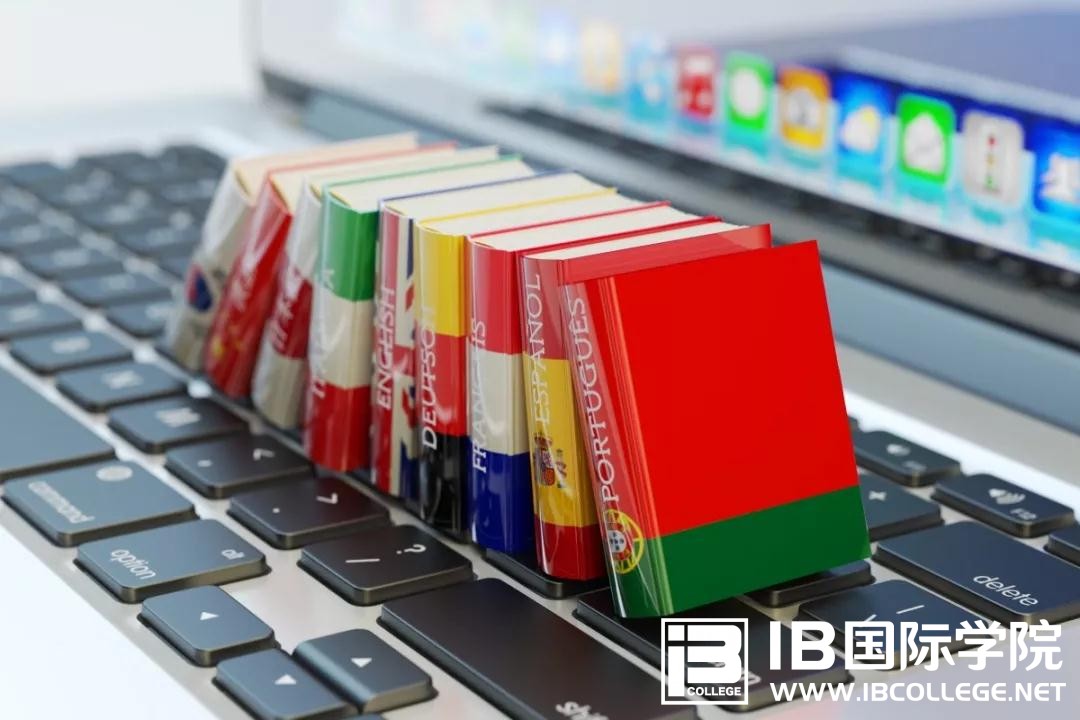 IB课程写作中常用的数量表达