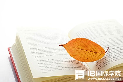 IB课程写作中常用的数量表达