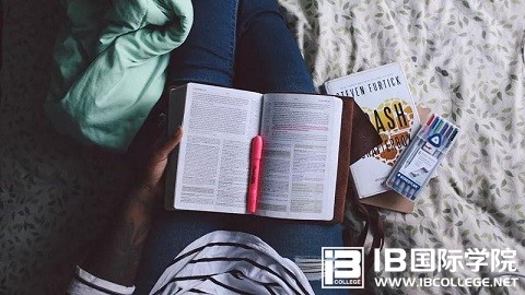 备战IBDP物理：带电粒子运动型应试策略