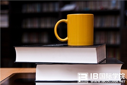 IB英语中高频短语汇总