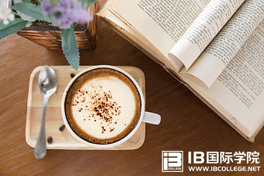 IB课程中好作文开头的四种方式