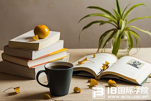 IB英语写作​结尾模板总结