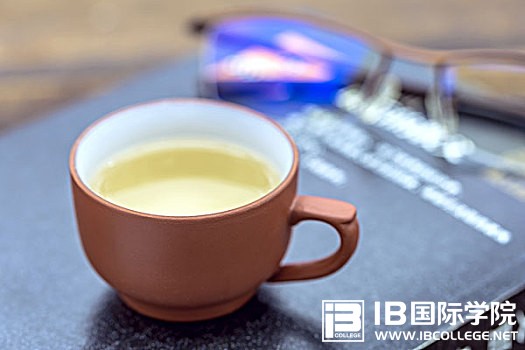 IB英语复习易混词辨析练习（一）