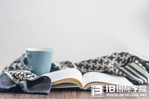 IB英语干货：形容词的重点句型