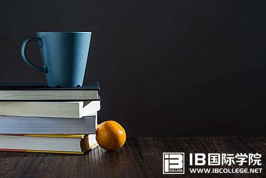 IB英语干货：形容词的重点句型