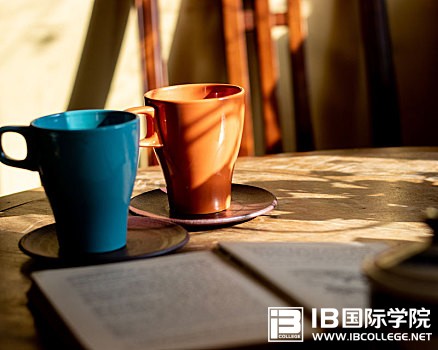 IB英语语法学习要从了解动词的分类入手