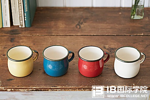 IB词汇讲解：company的用法与搭配