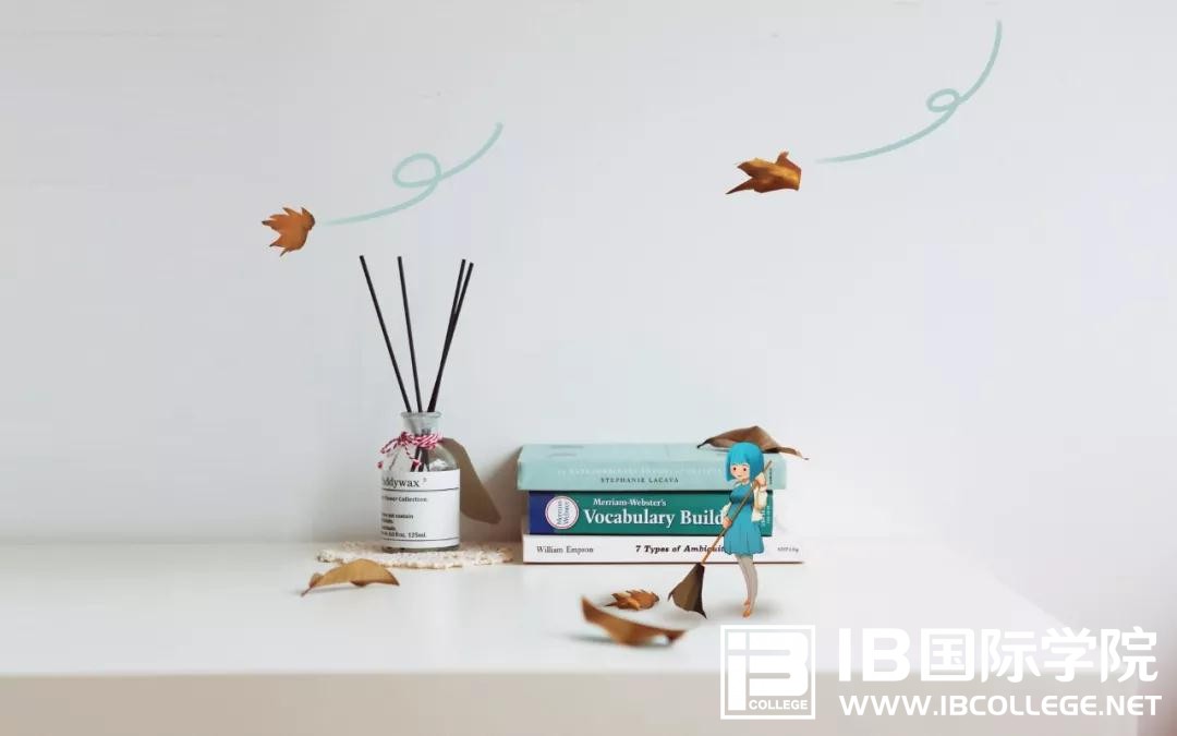 IB物理力学综合试题解题策略汇总